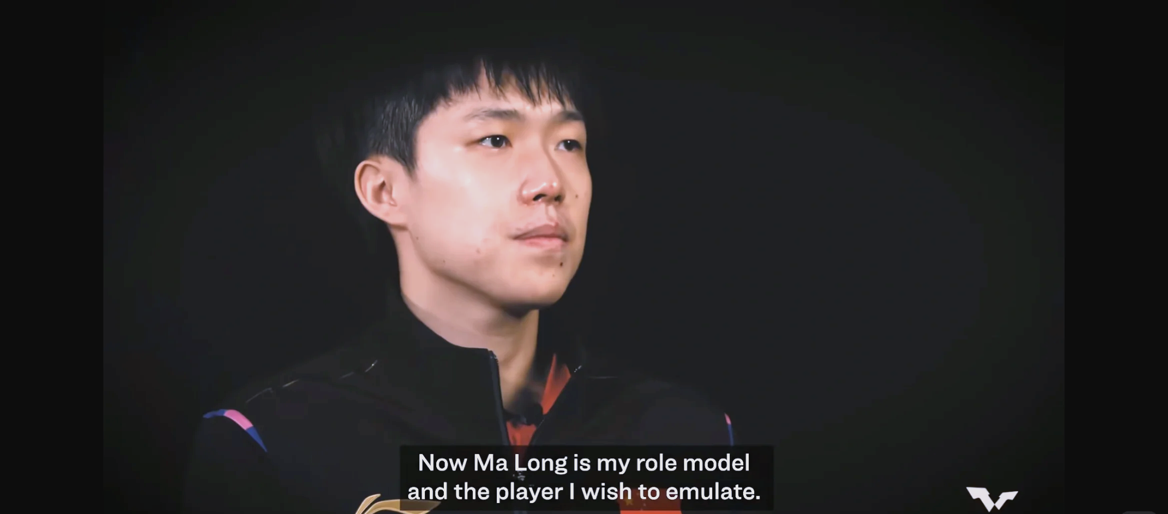 包含米兰体育：从伤病到复出：运动员的坚韧之路的词条