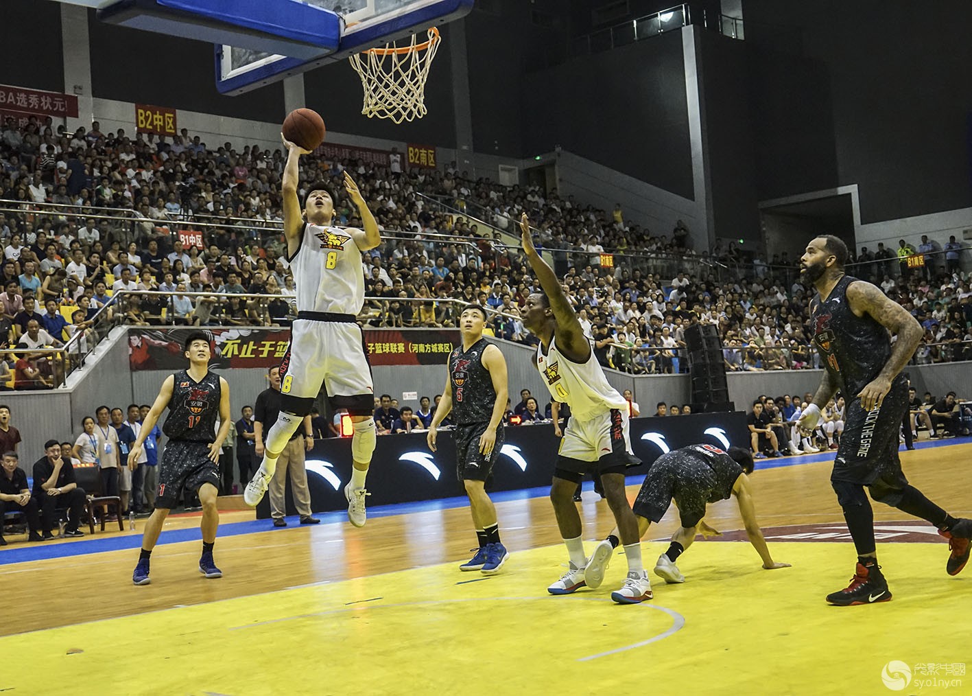 关于米兰体育:篮球主题的电影节:用光影讲述篮球故事的信息 关于米兰体育:篮球主题的电影节:用光影讲述篮球故事的信息